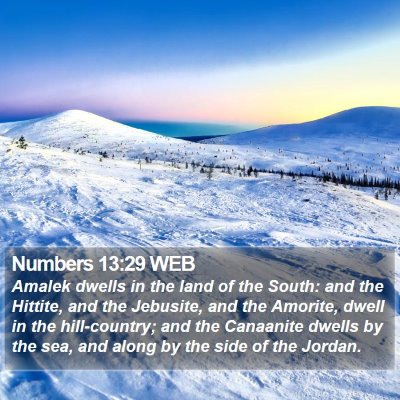 Numbers 13:29 WEB Bible Verse Image