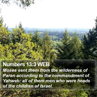 Numbers 13:3 WEB Bible Verse Image