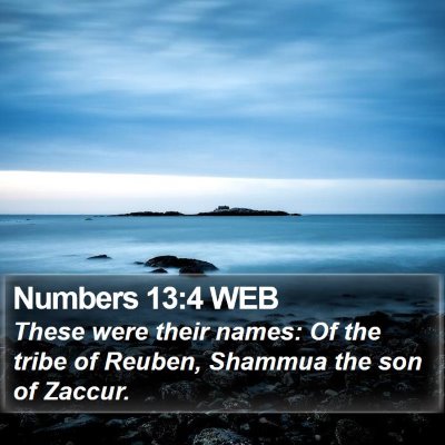 Numbers 13:4 WEB Bible Verse Image