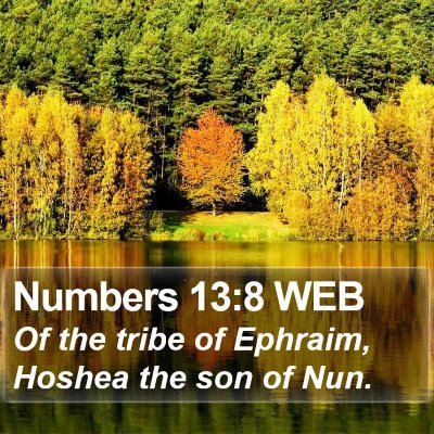 Numbers 13:8 WEB Bible Verse Image