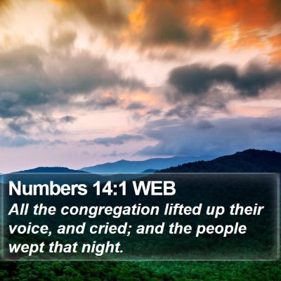 Numbers 14:1 WEB Bible Verse Image