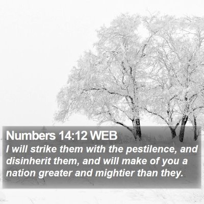Numbers 14:12 WEB Bible Verse Image