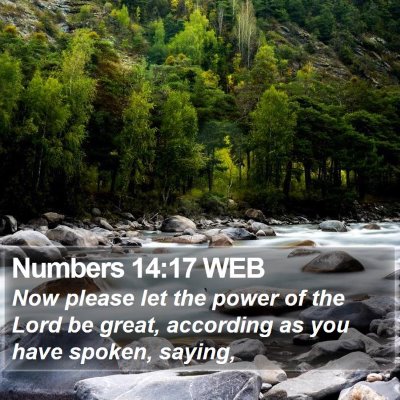 Numbers 14:17 WEB Bible Verse Image