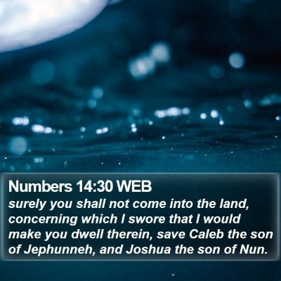 Numbers 14:30 WEB Bible Verse Image