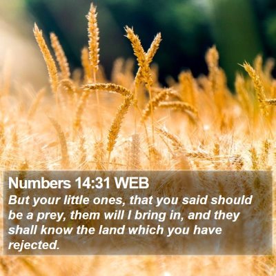 Numbers 14:31 WEB Bible Verse Image