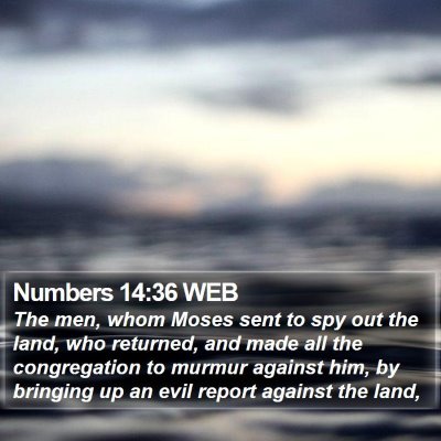 Numbers 14:36 WEB Bible Verse Image