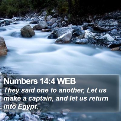 Numbers 14:4 WEB Bible Verse Image