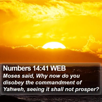 Numbers 14:41 WEB Bible Verse Image