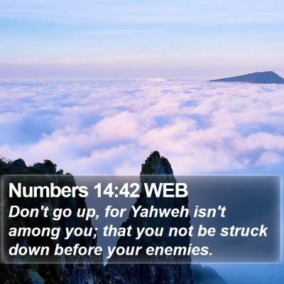Numbers 14:42 WEB Bible Verse Image