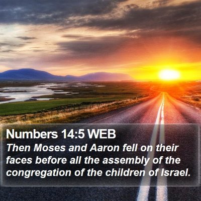 Numbers 14:5 WEB Bible Verse Image