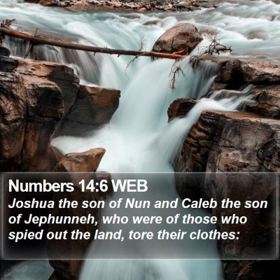 Numbers 14:6 WEB Bible Verse Image
