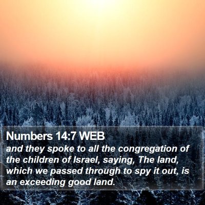 Numbers 14:7 WEB Bible Verse Image