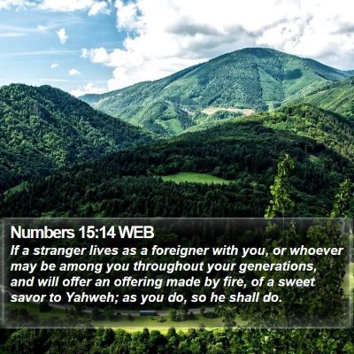 Numbers 15:14 WEB Bible Verse Image
