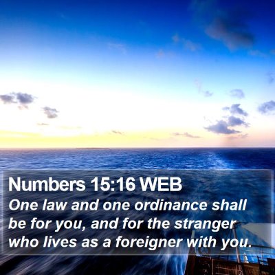 Numbers 15:16 WEB Bible Verse Image