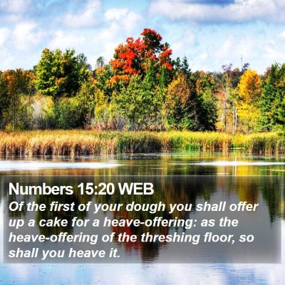 Numbers 15:20 WEB Bible Verse Image