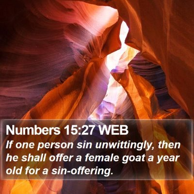 Numbers 15:27 WEB Bible Verse Image