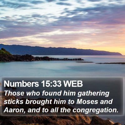 Numbers 15:33 WEB Bible Verse Image
