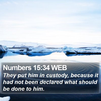Numbers 15:34 WEB Bible Verse Image