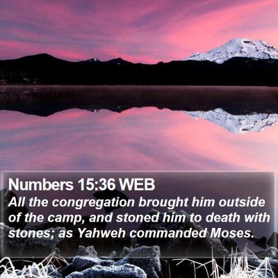 Numbers 15:36 WEB Bible Verse Image