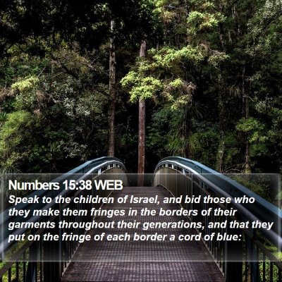 Numbers 15:38 WEB Bible Verse Image