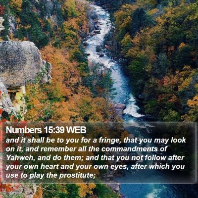 Numbers 15:39 WEB Bible Verse Image