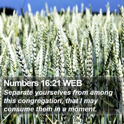 Numbers 16:21 WEB Bible Verse Image