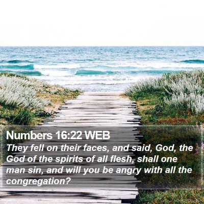 Numbers 16:22 WEB Bible Verse Image
