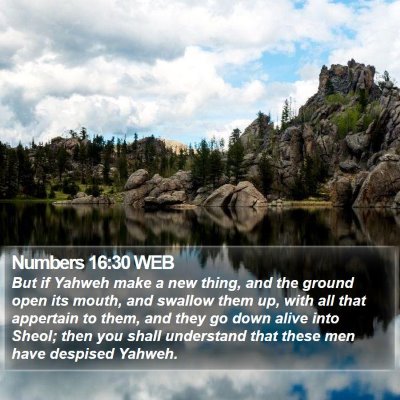 Numbers 16:30 WEB Bible Verse Image
