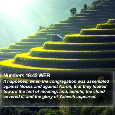 Numbers 16:42 WEB Bible Verse Image