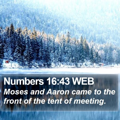 Numbers 16:43 WEB Bible Verse Image