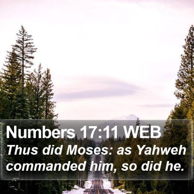 Numbers 17:11 WEB Bible Verse Image