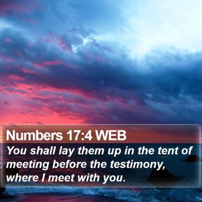 Numbers 17:4 WEB Bible Verse Image
