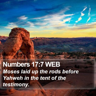 Numbers 17:7 WEB Bible Verse Image