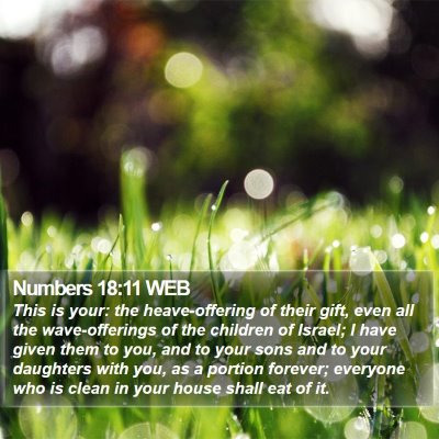 Numbers 18:11 WEB Bible Verse Image