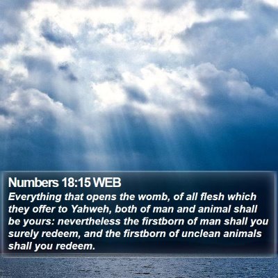 Numbers 18:15 WEB Bible Verse Image