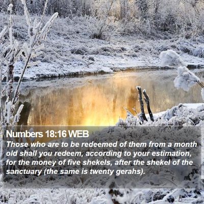 Numbers 18:16 WEB Bible Verse Image
