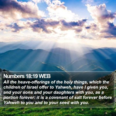 Numbers 18:19 WEB Bible Verse Image