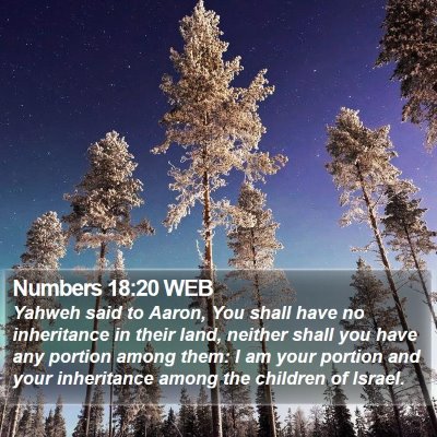 Numbers 18:20 WEB Bible Verse Image