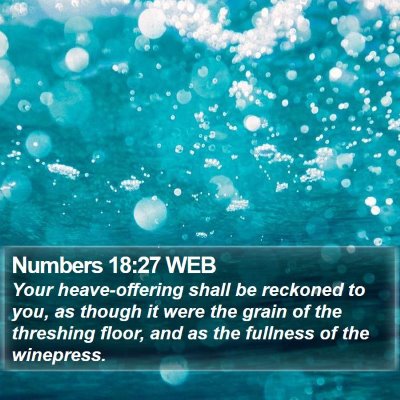 Numbers 18:27 WEB Bible Verse Image