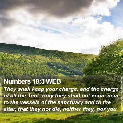 Numbers 18:3 WEB Bible Verse Image