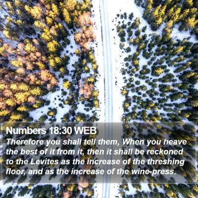 Numbers 18:30 WEB Bible Verse Image