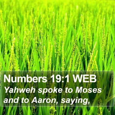 Numbers 19:1 WEB Bible Verse Image
