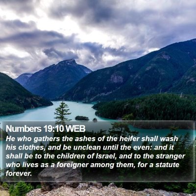 Numbers 19:10 WEB Bible Verse Image