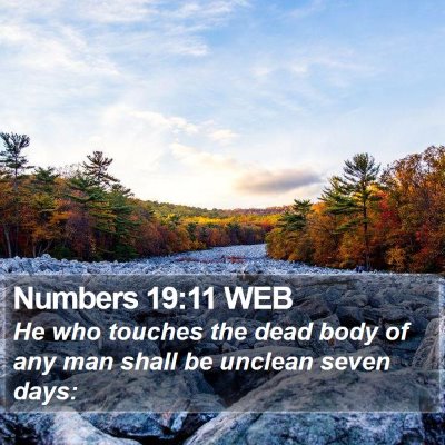 Numbers 19:11 WEB Bible Verse Image