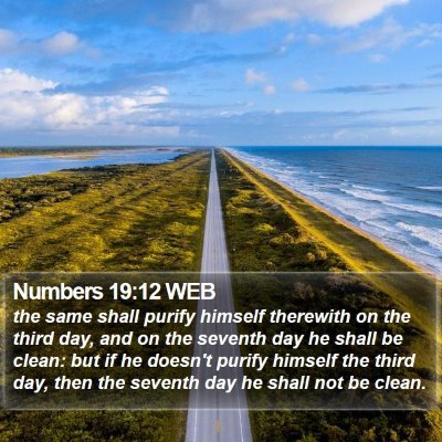 Numbers 19:12 WEB Bible Verse Image