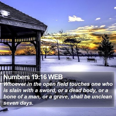 Numbers 19:16 WEB Bible Verse Image