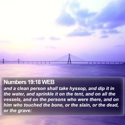 Numbers 19:18 WEB Bible Verse Image
