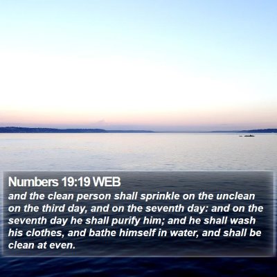 Numbers 19:19 WEB Bible Verse Image