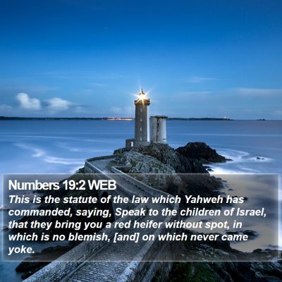 Numbers 19:2 WEB Bible Verse Image