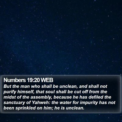 Numbers 19:20 WEB Bible Verse Image